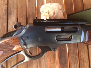 Vendo Marlin 444 SS 

 vendido   


    Gracias a los 2  interesados 12