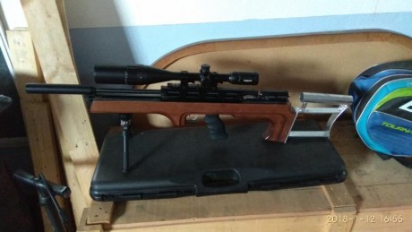 Hola a todos como ya comenté en otros temas poseo un bullpup y no adapto a el por ser tan corto pies ya 00