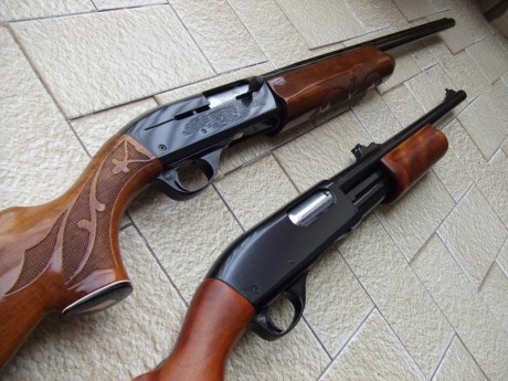 Hola a todos estoy planteándome comprar una escopeta de corredera y estas son mis tres opciones 
La remington 101