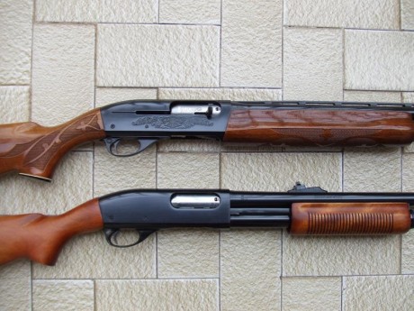 Hola a todos estoy planteándome comprar una escopeta de corredera y estas son mis tres opciones 
La remington 100