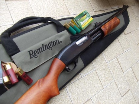 Hola a todos estoy planteándome comprar una escopeta de corredera y estas son mis tres opciones 
La remington 140