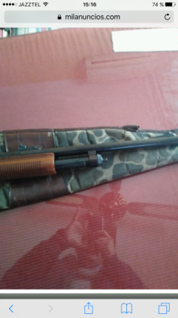Hola a todos estoy planteándome comprar una escopeta de corredera y estas son mis tres opciones 
La remington 151