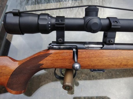 Sako P54 en perfecto estado con visor Bushnell 6*18-50 , muy buena agrupación , excelente con munición 01