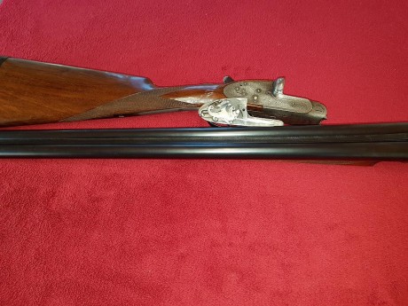VENDO ESCOPETA VICTOR SARASQUETA MODELO 215 ESPECIAL
EXPULSORA
66 DE CAÑON
CULATA INGLESA
MECANISMO TIPO 00