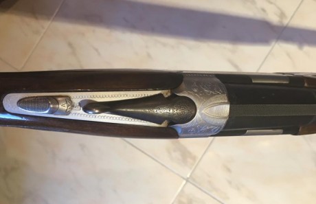 Escopeta de caza Beretta modelo S56E. Tiene chokes de 1 y 3 estrellas así como doble disparador, no selectivo. 11