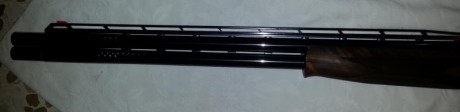 VENDO ESCOPETA BROWNING ULTRA XS.
EN PERFECTAS CONDICIONES.
CALIBRE 12
CAÑON DE 71 
CARRILERA AJUSTABLE 10