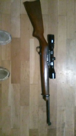 Como bien dice el titulo estoy buscando una carabina ruger 10/22 en buen estado,preferiblemente modelo 30