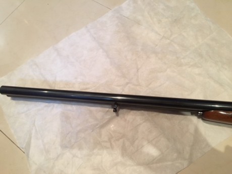 Hola,vendo escopeta paralela marca J Z cal 12 expulsora y de regalo una superpuesta marca sarrasqueta 10