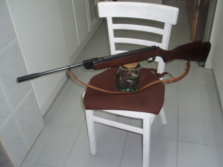 Hola.,
Una genuina Webley de cuando eran Inglesas de verdad.
Esta pequeña carabina tenía la particularidad 01