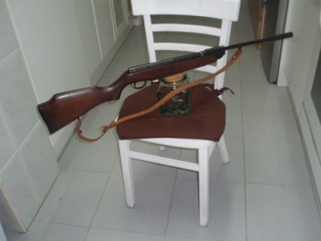 Hola.,
Una genuina Webley de cuando eran Inglesas de verdad.
Esta pequeña carabina tenía la particularidad 10