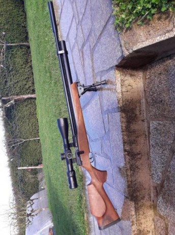 Vendo Fx Streamline calibre 6.35 mm,en madera de nogal,muy buen estado.Regulada.Muy precisa y muy potente 01