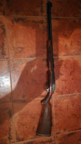 Cambio marlin 22lr más munición por algo relacionado con el aire comprimido 121