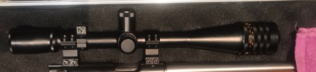 Buenas tardes:

Vendo visor Weaver T36, lo vendo impoluto apenas tiene uso, va con su caja original y 00