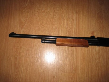 Hola. Vendo escopeta de corredera con cañón de 71cm, y tres polichoques internos, también tiene lumbreras, 10