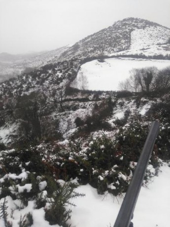 Buenos días a todos:

El pasado domingo, día cuatro, tuve que abandonar la tirada de Standard en Cantoblanco 30