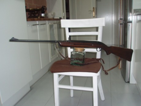 Hola.

La elegancia inglesa , decadente, eso si, hecha carabina.
Esta bonita carabina con look de rifle 10