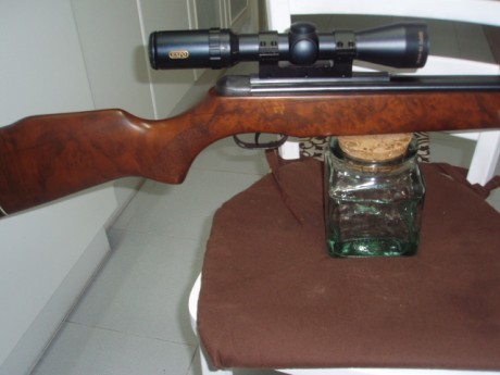 Una preciosa Gamo BZ 30, los antiguos la recordareis por su punto laser y la espectacular bocacha metálica.
Si 01
