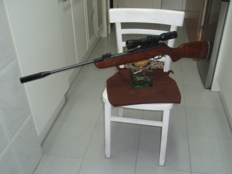 Una preciosa Gamo BZ 30, los antiguos la recordareis por su punto laser y la espectacular bocacha metálica.
Si 00