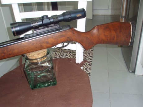 Una preciosa Gamo BZ 30, los antiguos la recordareis por su punto laser y la espectacular bocacha metálica.
Si 10