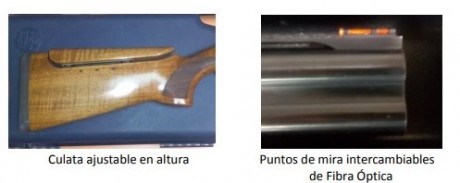 Escopeta de Tiro al Plato: Cal.12, chokes fijos de 2*/1* y maletín original.  750 euros
Elías - 627904038 00