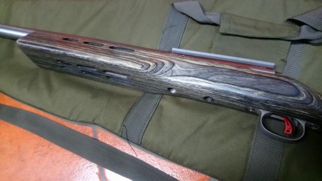 SE VENDE
Rifle FCLAS OPEN Savage Accion 12.
Calibre 6mmBR.
Cañon pesado BENCHMARK 
Rail incluido de 20 12