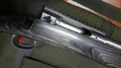 SE VENDE
Rifle FCLAS OPEN Savage Accion 12.
Calibre 6mmBR.
Cañon pesado BENCHMARK 
Rail incluido de 20 11
