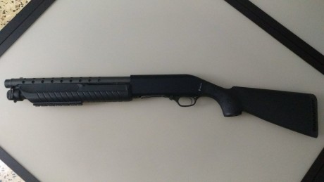  Muy buen estado estetico y funcional,la entrego con pistolet y culata fija,lleva rail picatinny en guardamanos,se 01