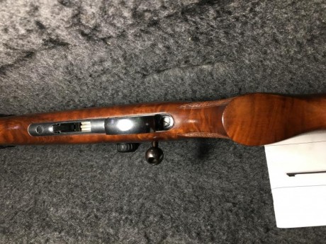 Hola, vendo esta preciosa carabina CZ 452 calibre 22 magnum. Está impoluta se vende con visor 8x32 aumentos 20