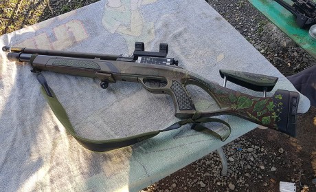 Hola.

Un amigo del club de tiro, El señor Cañadas, ha puesto a la venta su gamo coyote en 4,5mm y como 02