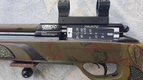 Hola.

Un amigo del club de tiro, El señor Cañadas, ha puesto a la venta su gamo coyote en 4,5mm y como 00