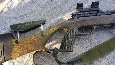 Hola.

Un amigo del club de tiro, El señor Cañadas, ha puesto a la venta su gamo coyote en 4,5mm y como 11