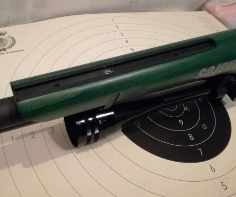 Hola a todos.
Vendo una carabina pcp CZ 200S GREEN con un visor TASCO WORLD CLASS 8-32x44 TS.
La compré 170