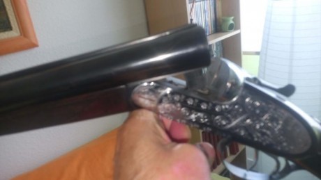 Hola vendo o cambio por rifle para jabali igual me da de palanca cerrojo o semi escopeta fina de luis 00