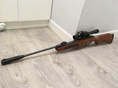 Vendo carabina 5,5 GAMO MAXIMA con Visor Vampir 3-9x40 con Linterna + Laser (VB5) con Funda de Trasporte. 01