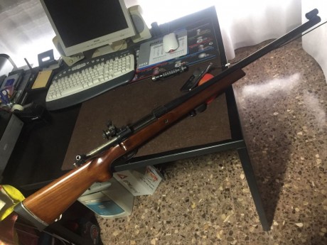 Vendo rifle competición BSA calibre 308 W con tunel delantero y diopter competición . Culata con carril 01