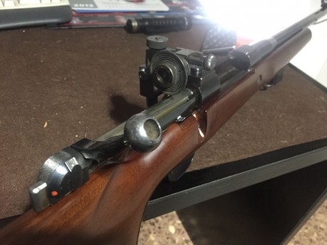Vendo rifle competición BSA calibre 308 W con tunel delantero y diopter competición . Culata con carril 00