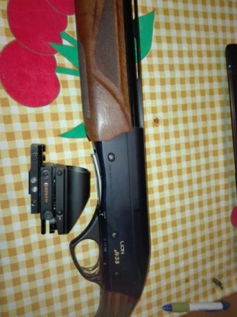  IMG_20180301_102513.jpg 
Buenos días, esta es mi fabarm lion h38 (12/76), la escopeta la compré de segunda 00