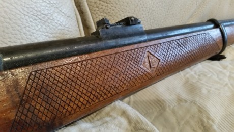 VENDO CARABINA DESTROYER CALIBRE 9L. ANTIGUA ARMA DEL SERVICIO DE VIGILANCIA Y GUARDERÍA, PARA GUIAR CON 11