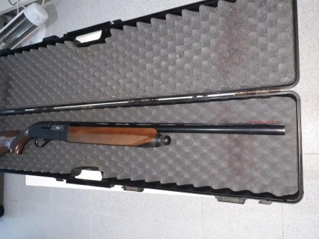 Se vende estupenda beretta al 391 Urika en muy bien estado de Pavón y maderas polochocs 3 estrellas
Es 01