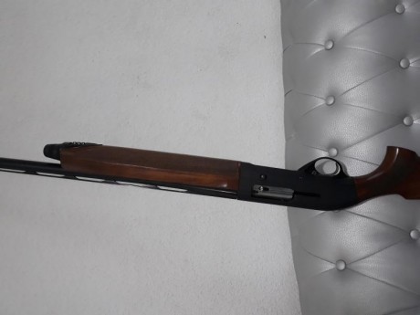 Se vende estupenda beretta al 391 Urika en muy bien estado de Pavón y maderas polochocs 3 estrellas
Es 00