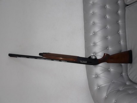 Se vende estupenda beretta al 391 Urika en muy bien estado de Pavón y maderas polochocs 3 estrellas
Es 11
