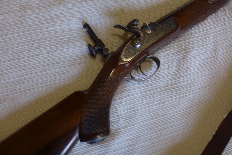 Vendo Alexander Henry de Ardesa cal .451 con dos túneles (uno alto y otro bajo) a instalar más retículas.
Lo 00