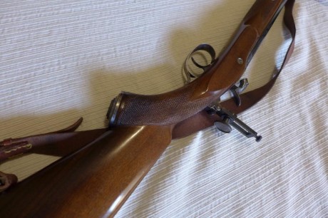 Vendo Alexander Henry de Ardesa cal .451 con dos túneles (uno alto y otro bajo) a instalar más retículas.
Lo 11