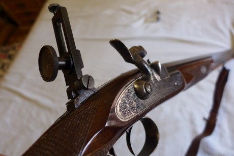 Vendo Alexander Henry de Ardesa cal .451 con dos túneles (uno alto y otro bajo) a instalar más retículas.
Lo 10