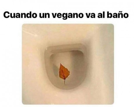 ¡Muy buenas a todos!

Estaba dando un paseo por el foro, cuando me he dado cuenta de que no había un hilo 60