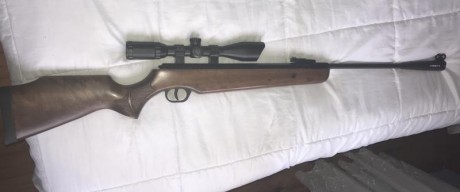Por ir quitando carabinas que no uso vendo lo siguiente:
- cometa fenix 400 5,5 150€ 
-gamo cfx 4,5 180€
-hatsan 11