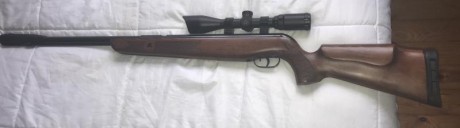 Por ir quitando carabinas que no uso vendo lo siguiente:
- cometa fenix 400 5,5 150€ 
-gamo cfx 4,5 180€
-hatsan 10