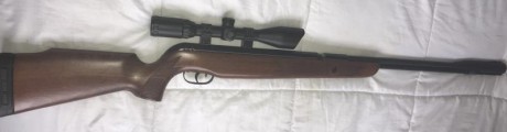 Por ir quitando carabinas que no uso vendo lo siguiente:
- cometa fenix 400 5,5 150€ 
-gamo cfx 4,5 180€
-hatsan 22