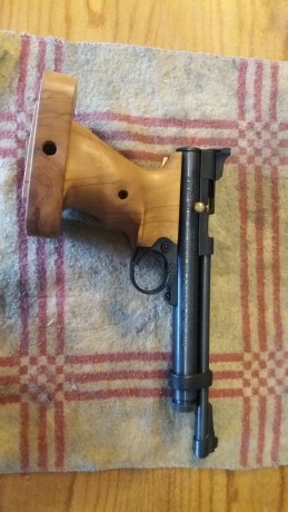 Hola. Vendo estas preciosas cachas artesanales con un solo uso.
Son de una Crosman 2240.

45 euretes 

Saludos 11