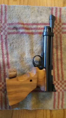 Hola. Vendo estas preciosas cachas artesanales con un solo uso.
Son de una Crosman 2240.

45 euretes 

Saludos 10